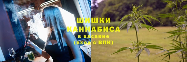 сатива Бронницы