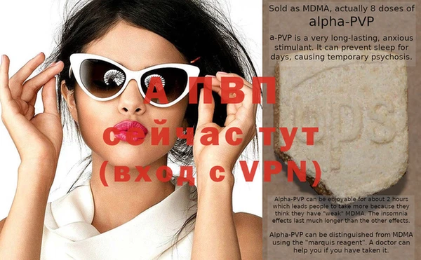 стафф Бородино