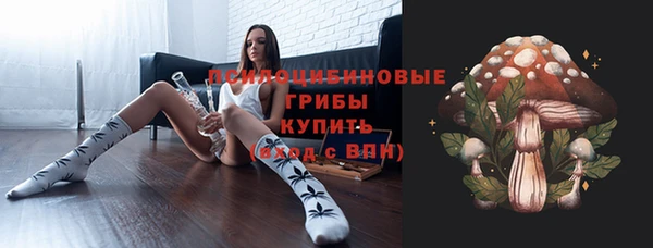 стафф Бородино