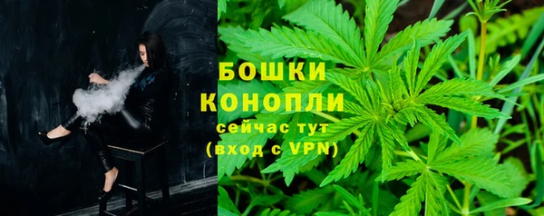 стафф Бородино