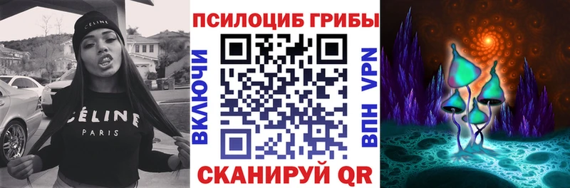 Псилоцибиновые грибы GOLDEN TEACHER  Купить закладки  Нурлат 